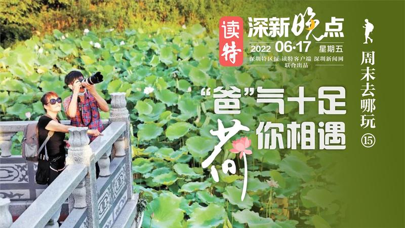 读特深新晚点 |“爸”气十足 荷你相遇（2022年6月17日）