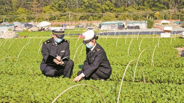 深圳海关全力构建现代化进出口食品安全监管体系