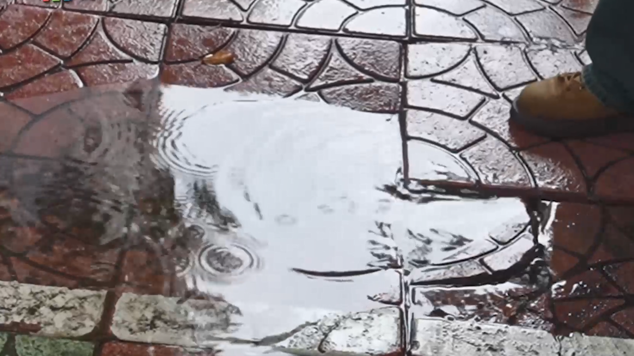 深网记“路”仪50：路面坑坑洼洼 雨天变水路 吉龙三街人行道地砖该换了