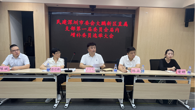 奋进展未来 谱写新篇章——民建深圳市委会大鹏新区直属支部召开选举大会和支部工作大会