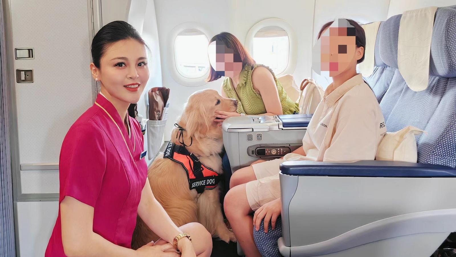 你是我的“耳”： 导听犬陪伴高频听力障碍旅客登上南航班机出行